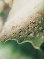 Close up texture photo from the Skinmoods Purifying toner